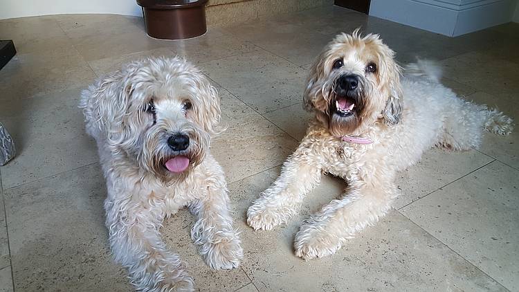 Sophie & Ally Sophie & Ally