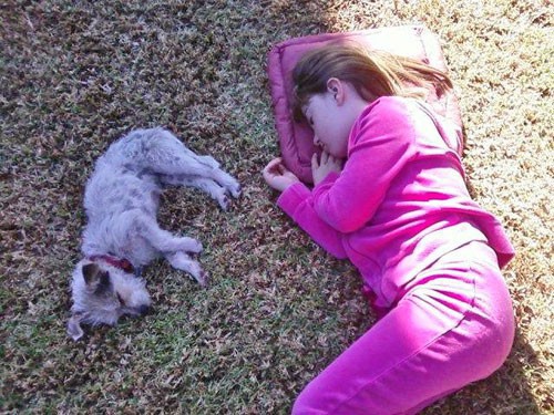My niece napping with a little pup I rescued My niece napping with a little pup I rescued
