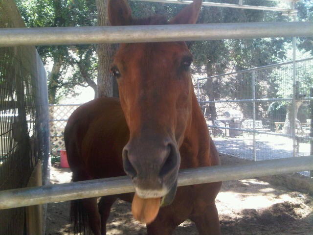 Gimme a kiss Gimme a kiss