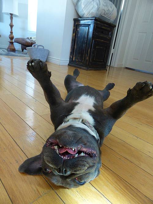 I believe I can flyyyyy! I believe I can flyyyyy!