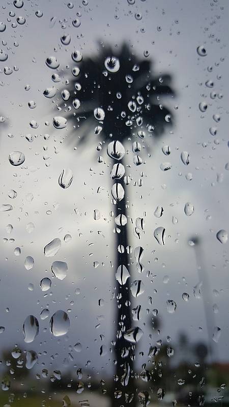 workin in the rain ~ workin in the rain ~